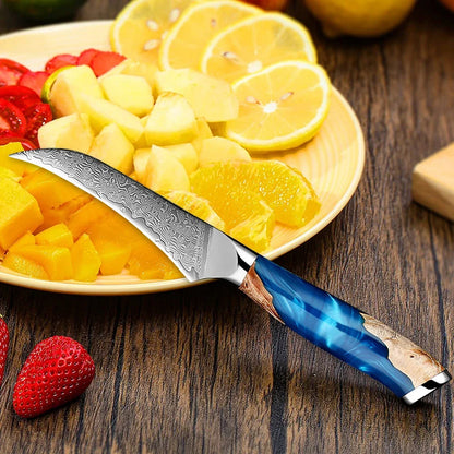3.5” Bird's Beak Paring Knife Razor-Sharp Perfect Kitchen Fruit Knife Authentic Handcrafted Japanese Knife Damascus Steel Blade