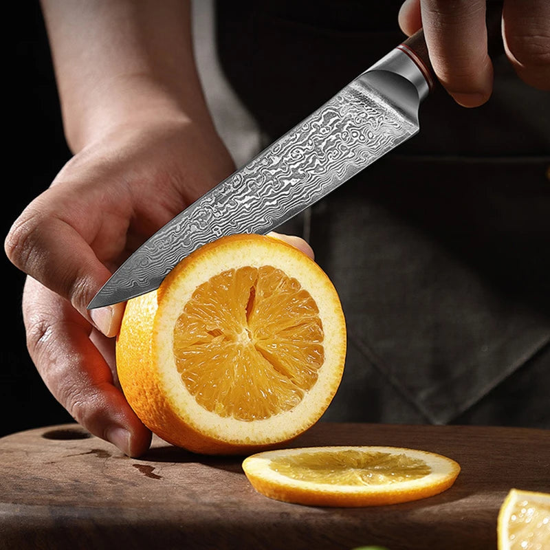 5inch Utility Knives 67-layers Damascus Steel Sharp Japanese Fish Filleting Knife Kitchen Cleaver Boning Knife for Fruit Meat