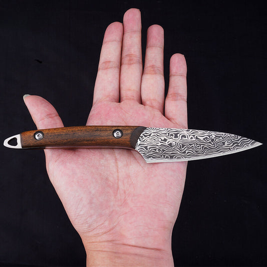 1pc Sharp Stainless Steel Mini Pocket Knife for Meat, Vegetables, and Fruit - Perfect for Outdoor Camping and Hiking