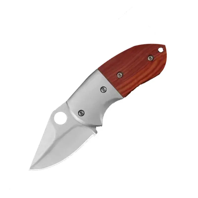 Wholesale Outdoor Mini EDC Carry Knife Stainless Steel Folding Pocket Knife Keychain Pocket Knife Open Box Express Folding Knife