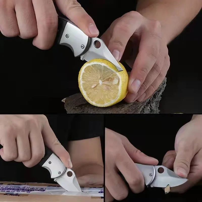 Wholesale Outdoor Mini EDC Carry Knife Stainless Steel Folding Pocket Knife Keychain Pocket Knife Open Box Express Folding Knife