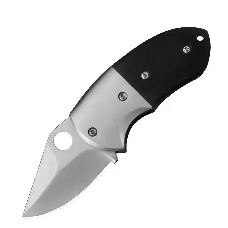 Wholesale Outdoor Mini EDC Carry Knife Stainless Steel Folding Pocket Knife Keychain Pocket Knife Open Box Express Folding Knife